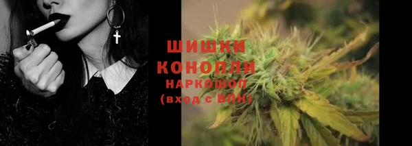PSILOCYBIN Аркадак