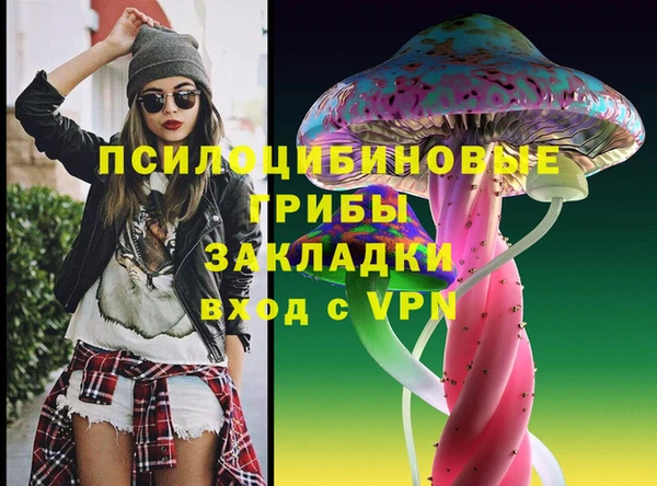 спиды Алексин