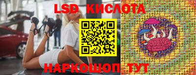 индика Новодвинск