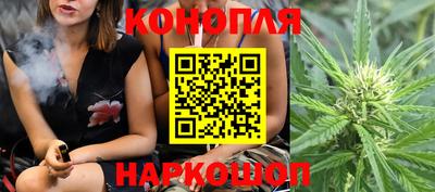 индика Новодвинск