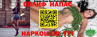 первитин Новозыбков