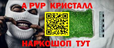 индика Новодвинск