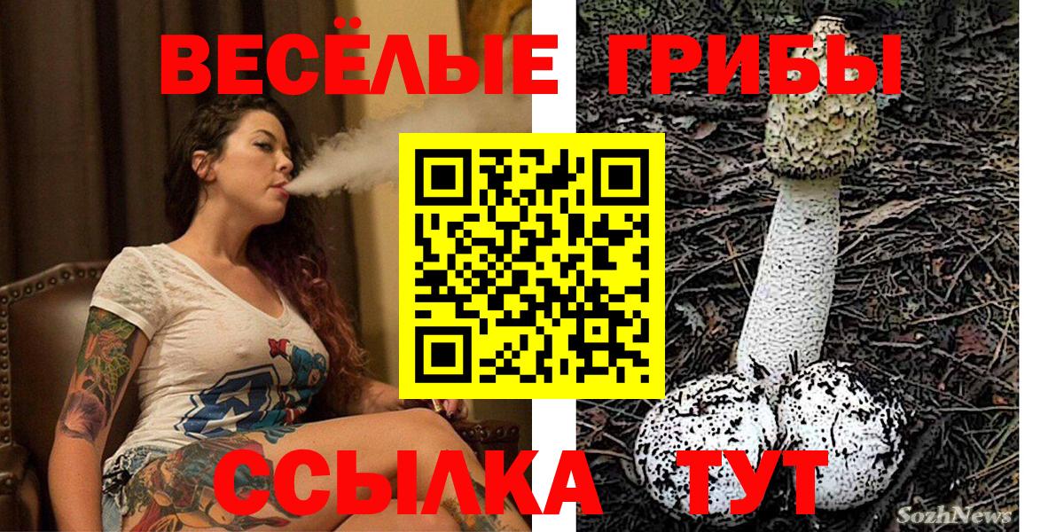 хочу   Галлюциногенные грибы прущие грибы  Вход с VPN  Солнечногорск 